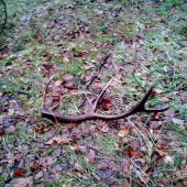 takto na mňa čakal