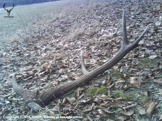 kamarátov 14torak