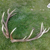 7,50 kg