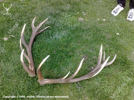 7,50 kg