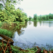 postriezka na vodnika:)