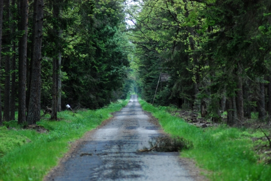 nekonecna cesta