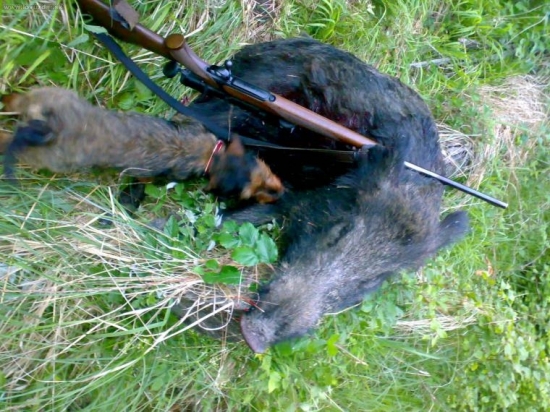 kancek z minulého víkendu