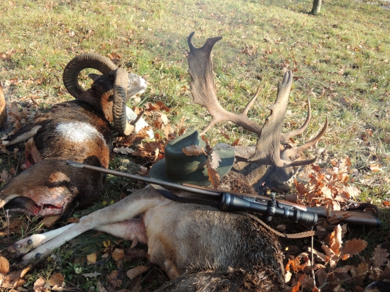 môj vysnívaný výrad..