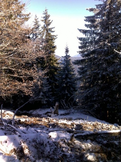 takto vysoko su na Liptove teraz diviaky