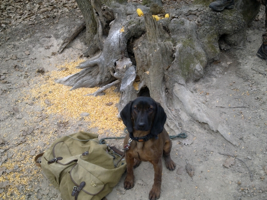 Eronko pri kontrole a doplnovaní soliska