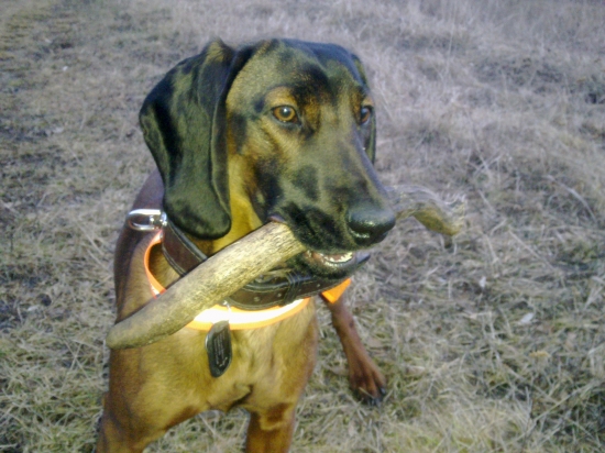 Eron mi dal k narodeninam vysadu :)