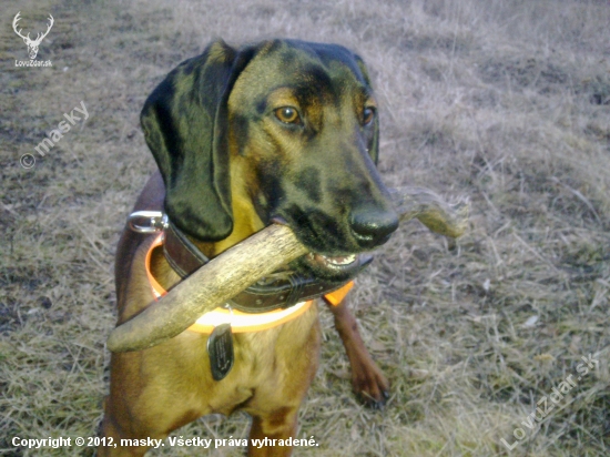 Eron mi dal k narodeninam vysadu :)