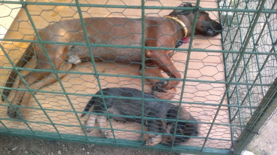 trošku sme si zdriemli  po tej vychádzke