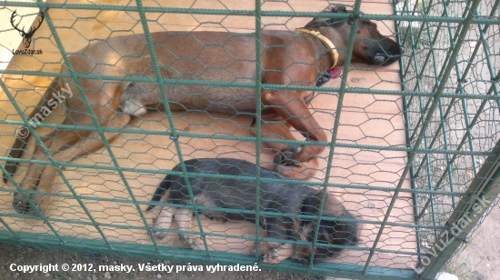 trošku sme si zdriemli  po tej vychádzke