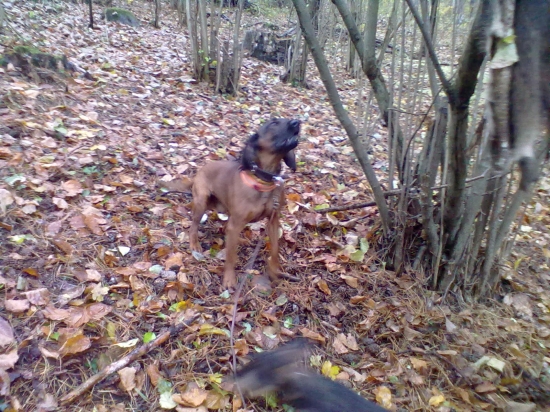 včera na umelej stope