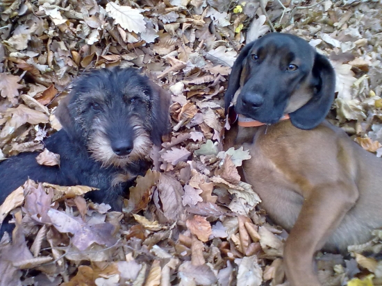 trošku si tu poležíme...