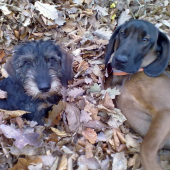 trošku si tu poležíme...