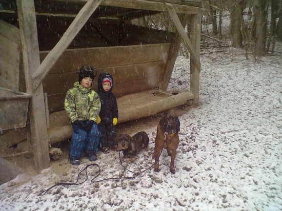 hafíci a bráškovci :)