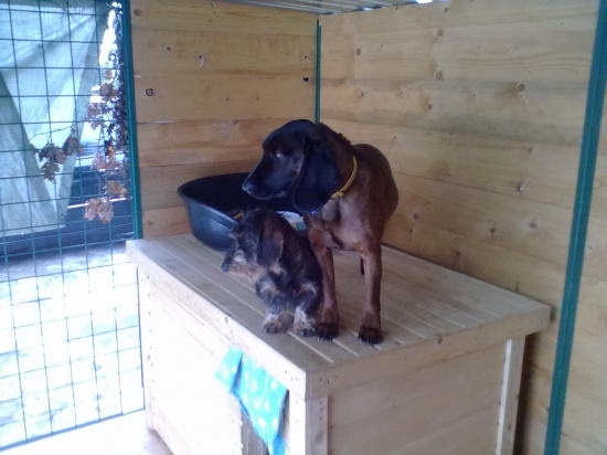 pozeraj zachvilu ta mačka pojde okolo :D