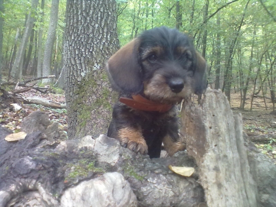 ked som bol este štuplík :D