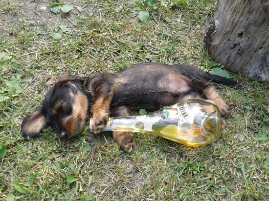 nebol som opitý iba unavený :D