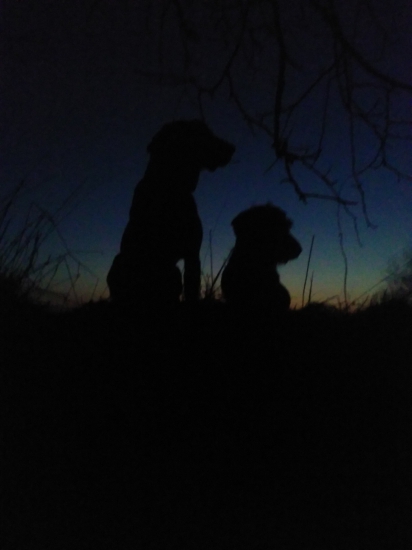 moja nerozlučná dvojka na horizonte