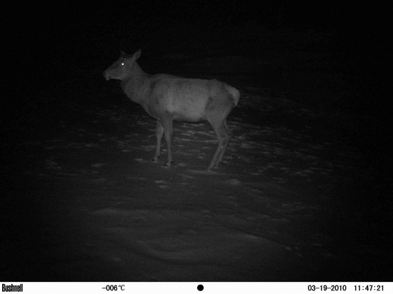 Nádejný majiteľ predchádzajúcich zhodov