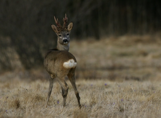 keď príde čas....