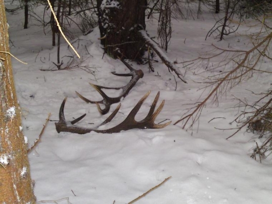 Dnes si ma takto počkali...