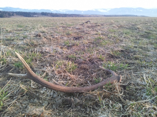 Takto ich mladík zhodil