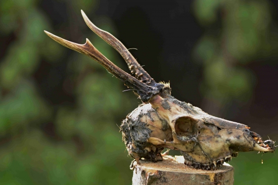 Hornoliptovský suvenír... :-)