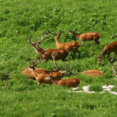 Tak ešte sa ich pár nájde...