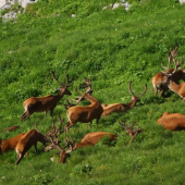 Taký pohľad vždy poteší...