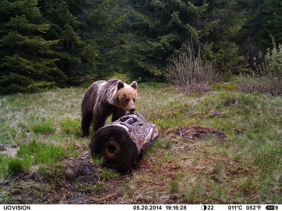 Prišiel si liznúť :-)