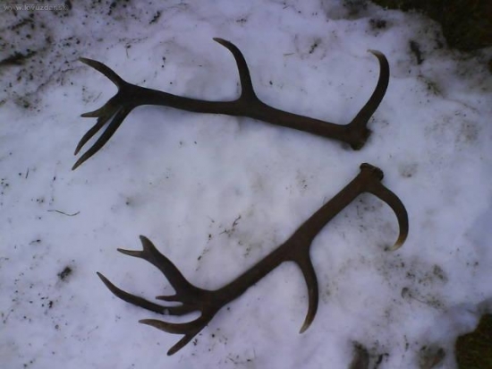 Kamarátov 16-torák