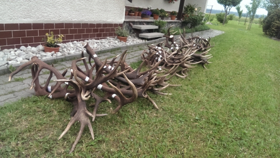 Spomienka na sezónu 2015