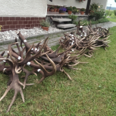 Spomienka na sezónu 2015