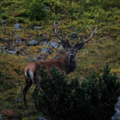 Večerné stretnutie