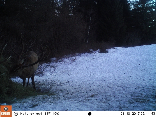 Nositeľ zhodov z ID 311940