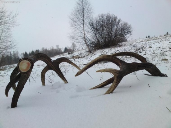 Keď už všetci dávajú...