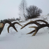 Keď už všetci dávajú...