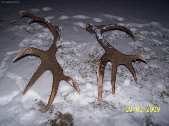 Kamarátove - dátum nálezu na fotke