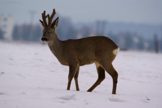 Keď ma fotia vždy žmurknem...