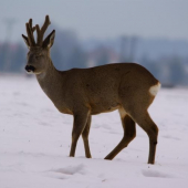 Keď ma fotia vždy žmurknem...