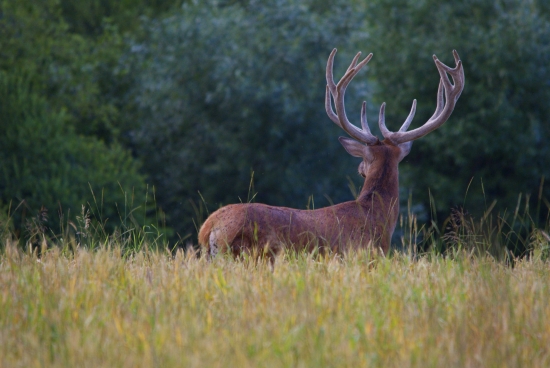 Pohľad nesprávnym smerom