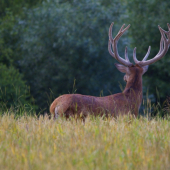 Pohľad nesprávnym smerom