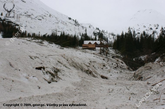 Storočná lavína v Žiarskej doline II