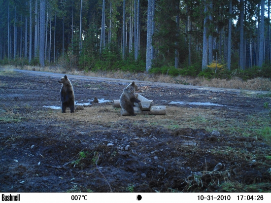Nasadaj, kamarát....!