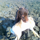 100%pomocnik