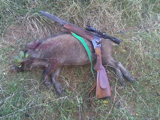 Diviača zo spoločnej poľovačky