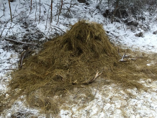 Infarktovy stav :O :)