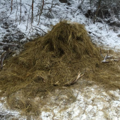 Infarktovy stav :O :)