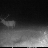 kolko by ste mu dali rokov