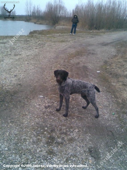 10 mesacny ROCKY